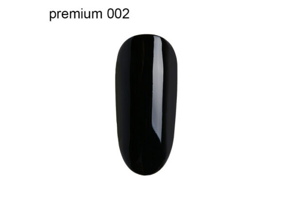 Gel Polish Premium 10ml 02 Μαύρο