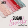 NTN Premium Sugar Sweets 5g