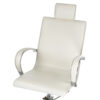 Bs καρέκλα πεντικιούρ με μασάζ ποδιών BR-2308