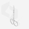 Professional cuticle scissors with hook Staleks Pro Exclusive SX-21/1M