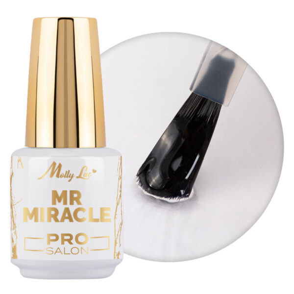 Top No Wipe Mr Miracle MollyLacPro Salon 15g