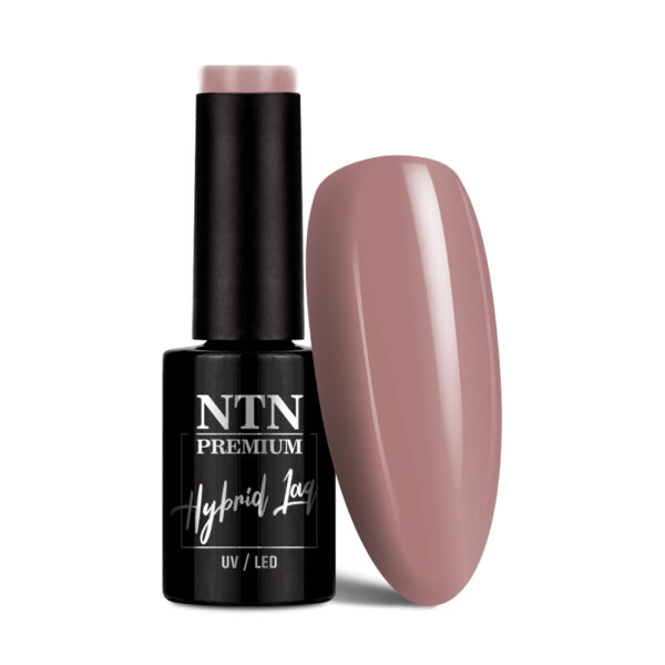 Gel Polish NTN Seductive Collection 5g Nr 133