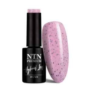 NTN Premium Sugar Sweets Collection 194 GIFT